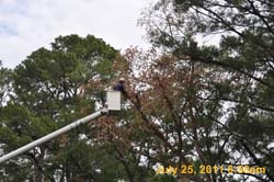 Entergy 021
